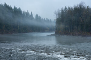 foggy-river-forest-nature